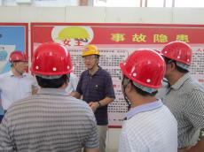 省住建廳徐學(xué)軍副廳長來南京建工集團(tuán)莉湖畔項目檢查工作