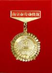集團(tuán)總工程師魯開明榮獲“南京市勞動(dòng)模范”光榮稱號(hào)